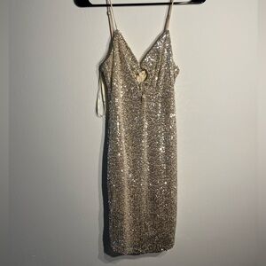 Saints + Secrets Silver sequin Dress